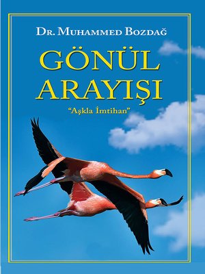 cover image of Gönül Arayışı